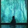 catagy04