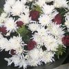 ahwak_2022