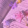 aliya_ch96
