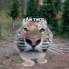 kofi.rysi