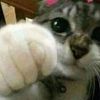 dabide_d