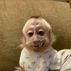 isaque_vx