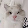pjongseongf_