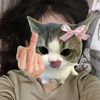amelssi_
