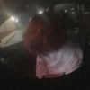 nohellody