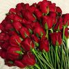 user1405753247105