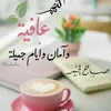 user4473847122072