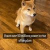 spykedk