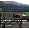 nete.lemos2