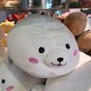 lindyhuang0