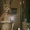 benjawill2