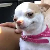 amybowen05