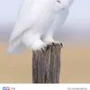 mariamelo1243