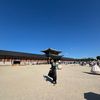 kelvininsouthkorea