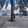justinschwartz05