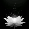 nguyenquyen986