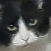 beepblartfartnarp