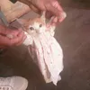 tapsong_batcan