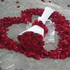 ali_66223