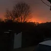 phoeb_bbb421