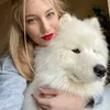 samoyed_phil