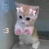 xxlillyk03