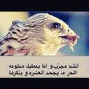 abuabdulmalikabdullahal7