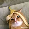 meii_383