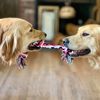 sadie_and_samson