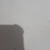 userto4djwkyda