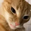 nathanbacon8