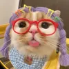 candydog_2
