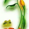 dy600uzpwt8x