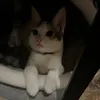 mina_moto7