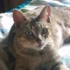 elisabetejose998