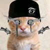 fadileegilqq