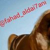 fahad_aldai7ani