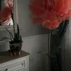 dghj7t
