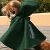 scoutscat