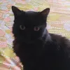 nilda_paivaa