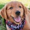 buddyisagoodboy