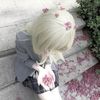 amariya_7001a