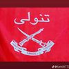 ziakhantanoli6