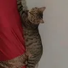 luizcarlossilva79