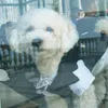 yoitsmepaw