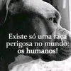 dianasouza653