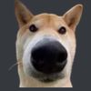 theultradognose