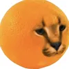 userocfrc5yrqw