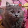 hafifahsalsabila05