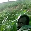 jimcaaleduale